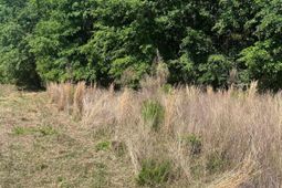 Sda 7 Salley Road  photo 4