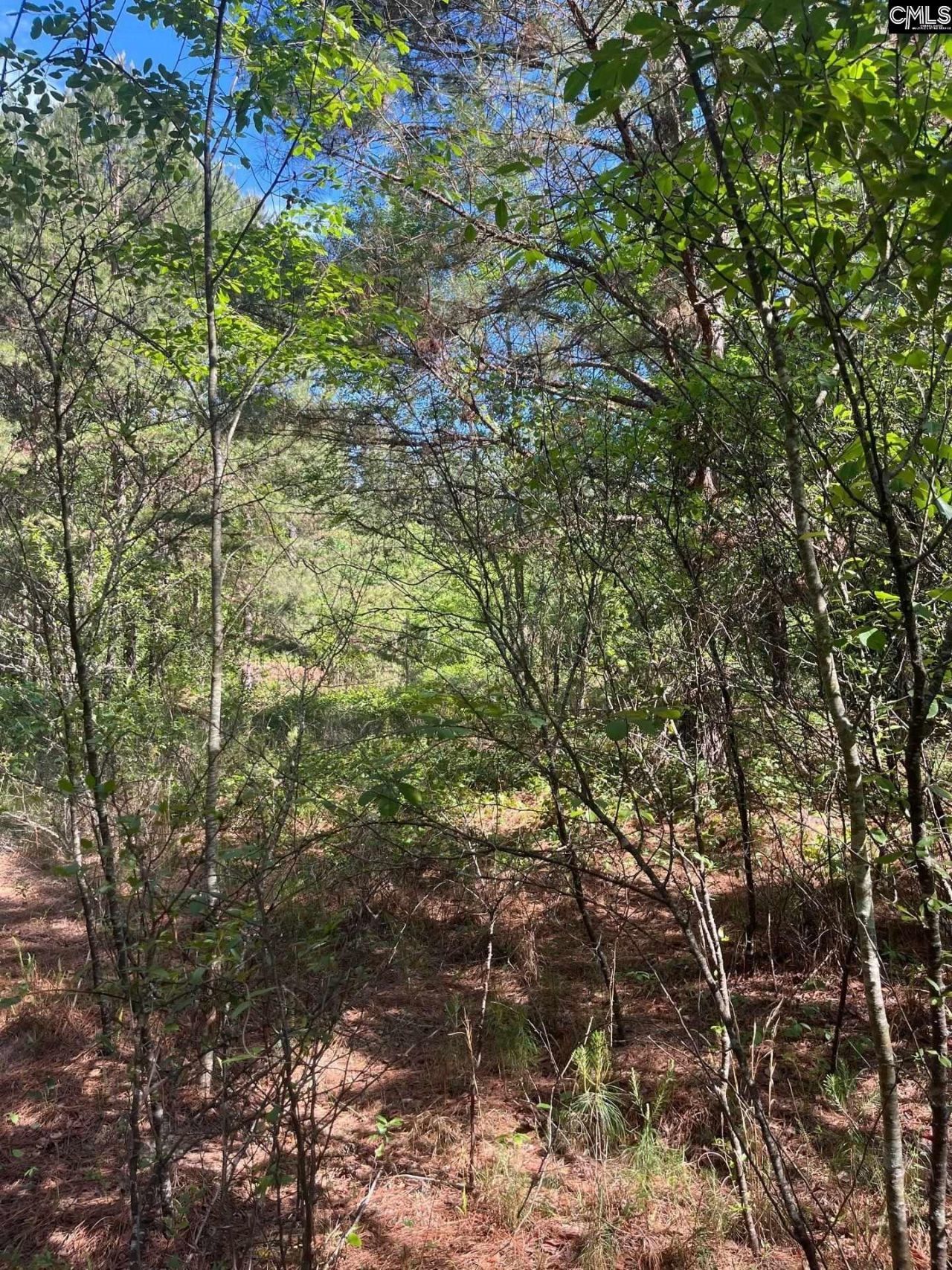 Sda 7 Salley Road  Photo 7