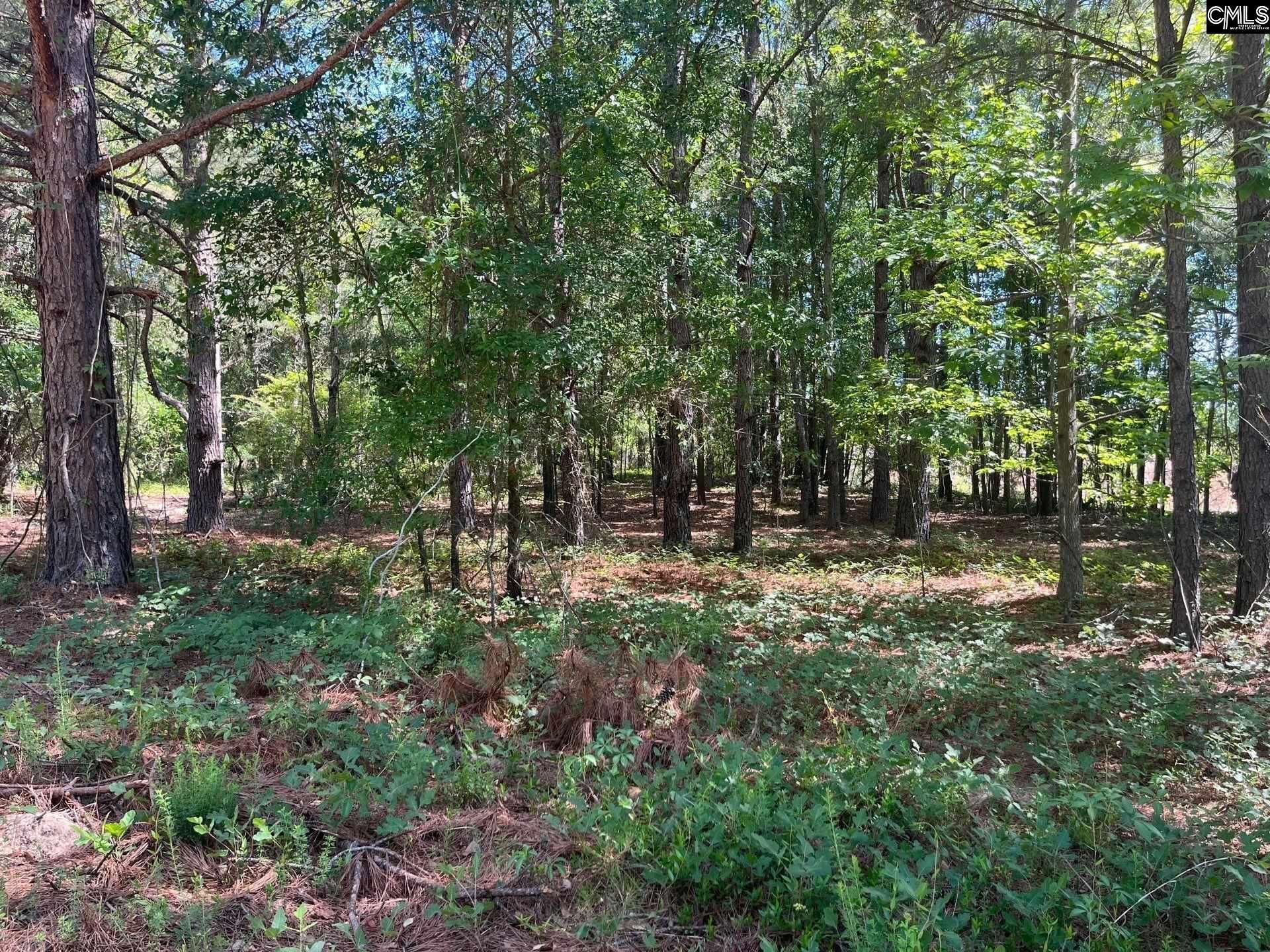 Sda 7 Salley Road  Photo 8