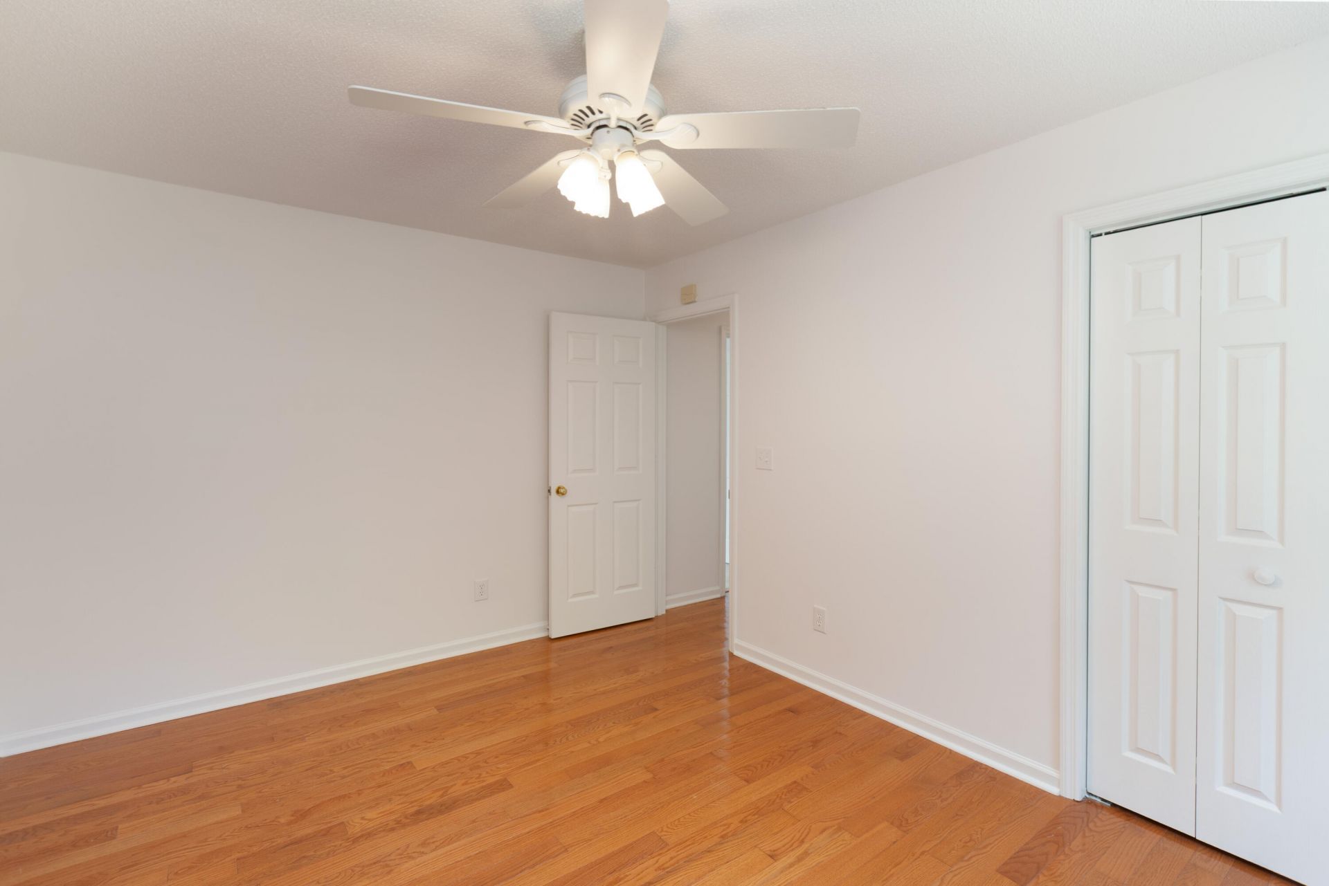 956 Portabella Lane Photo 22
