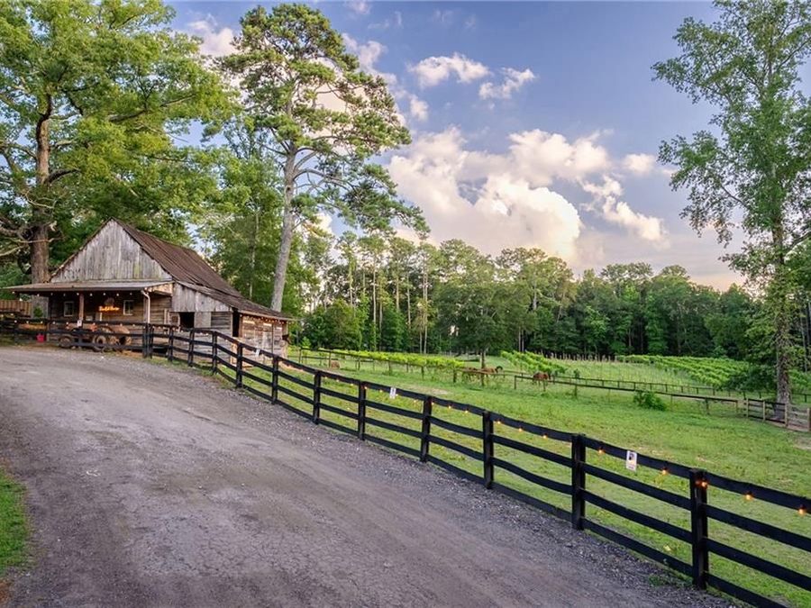 Property Image 91