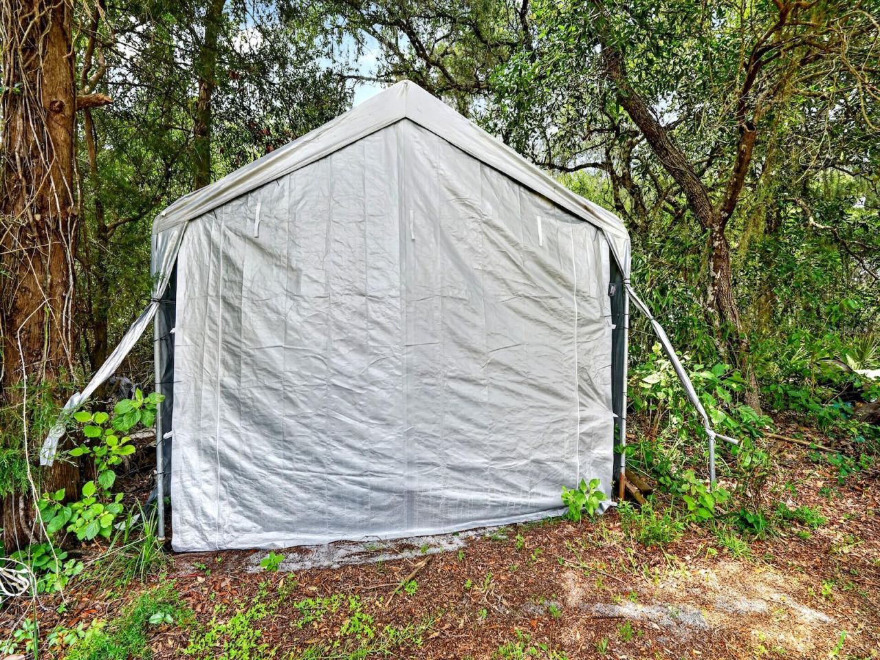 8445 NE 310th Avenue, Fort Mc Coy, FL 32134 Photo