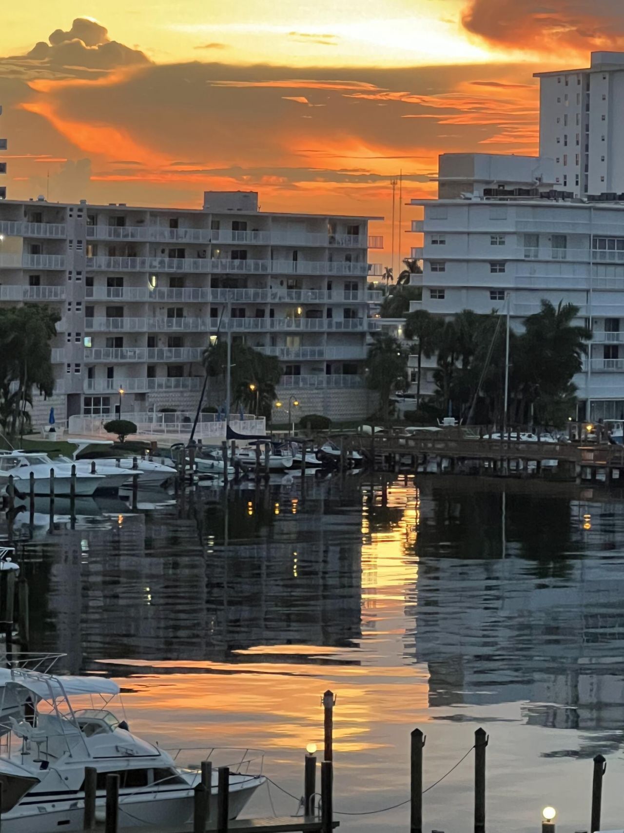 126 Golden Isles Drive, Unit 52A, Hallandale Beach, FL 33009 Photo