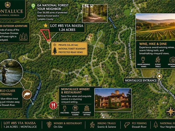 85 VIA MASSA , Dahlonega, GA 30533