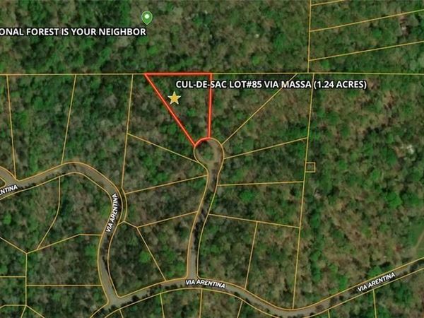 85 VIA MASSA, Dahlonega, GA 30533