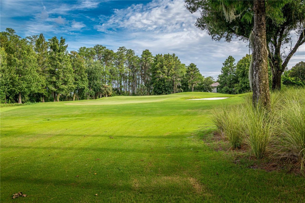 6719 Valhalla Way, Windermere, FL 34786 Photo