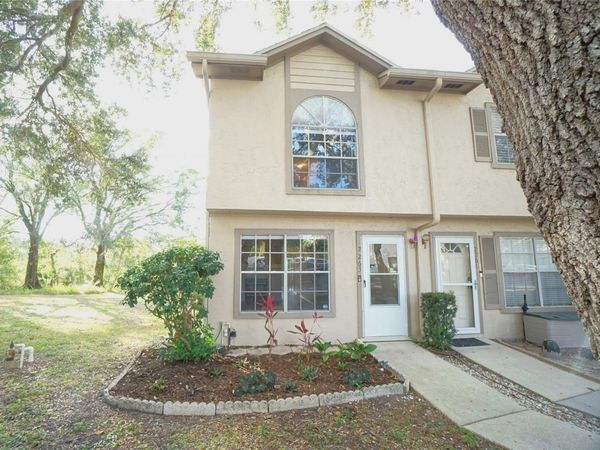 2263 FLETCHERS POINT CIRCLE , TAMPA, FL 33613