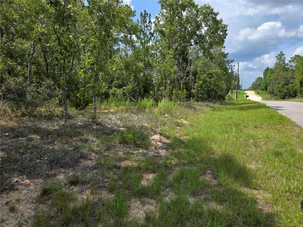 0000 NE 150TH AVENUE , WILLISTON, FL 32696