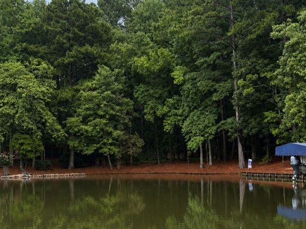 1290 Tal Lewis Road, White Plains, GA 30678