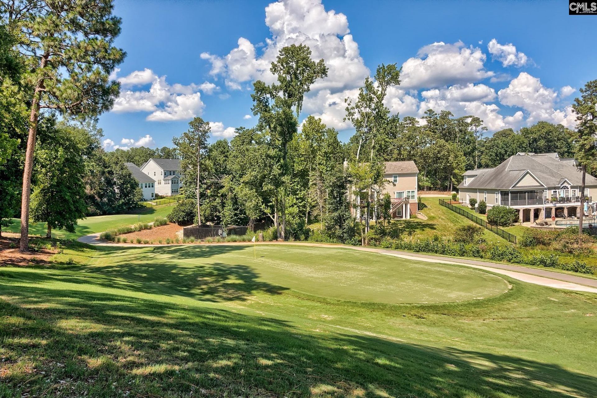 134 Fairway Ridge Drive  Photo 54