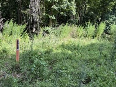 344 Dupre Road, McClellanville, SC 29458
