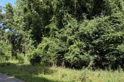 344 Dupre Road photo 4