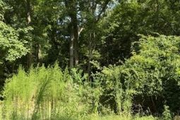 344 Dupre Road photo 4