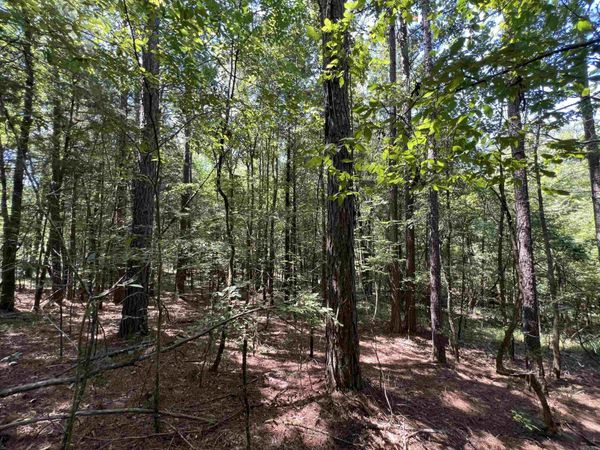 000 Davidson Campground Rd , Okolona, AR 71962
