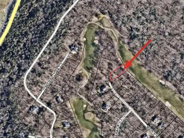 Lot 10 Maple Ridge Street, Unit Lot 10, Mackinac Island, MI 49757