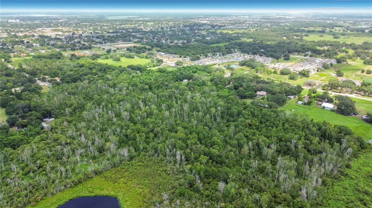 Johnson Avenue E, Haines City, FL 33844 Photo