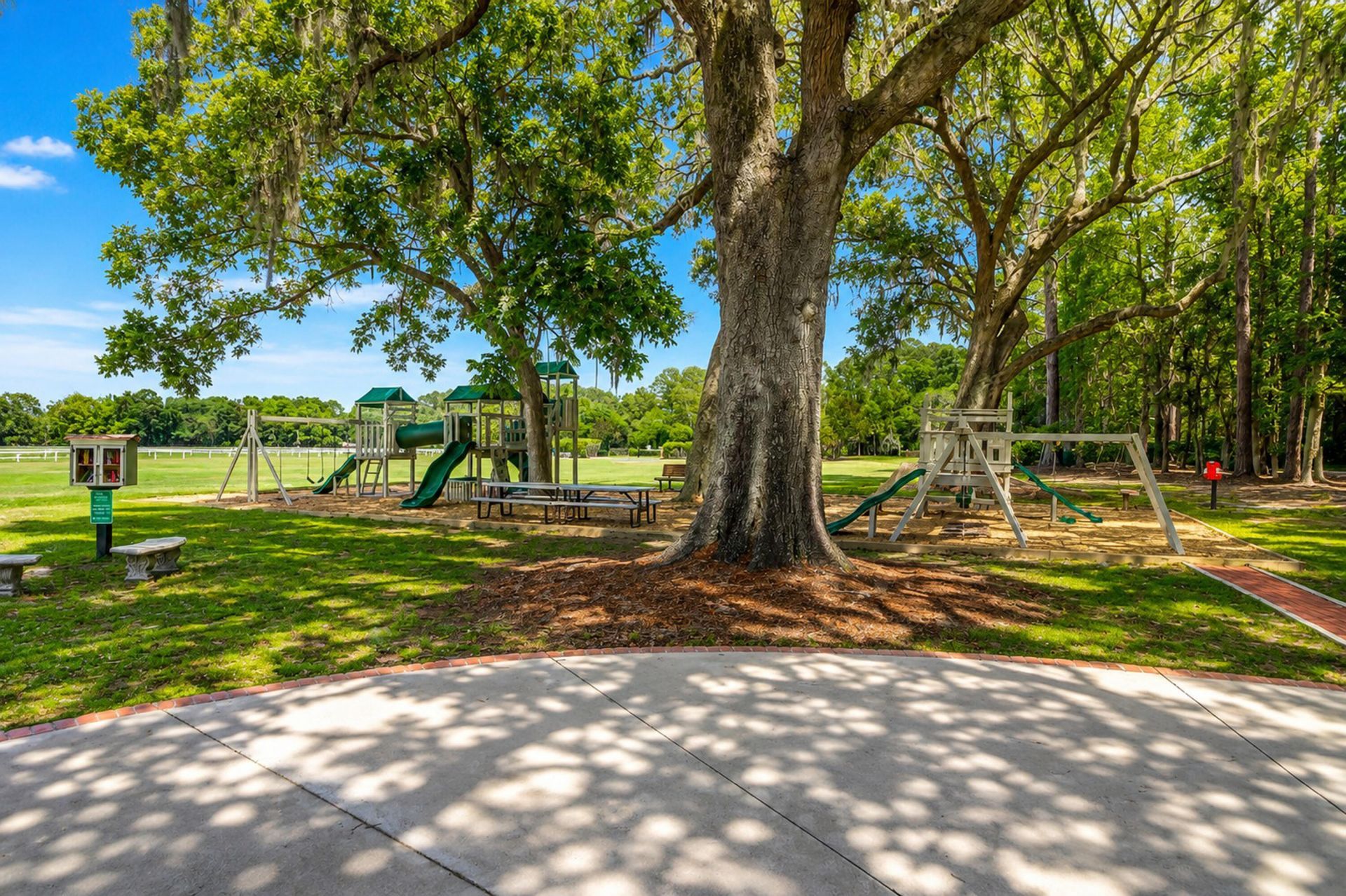 5353 Birdie Lane Photo 48