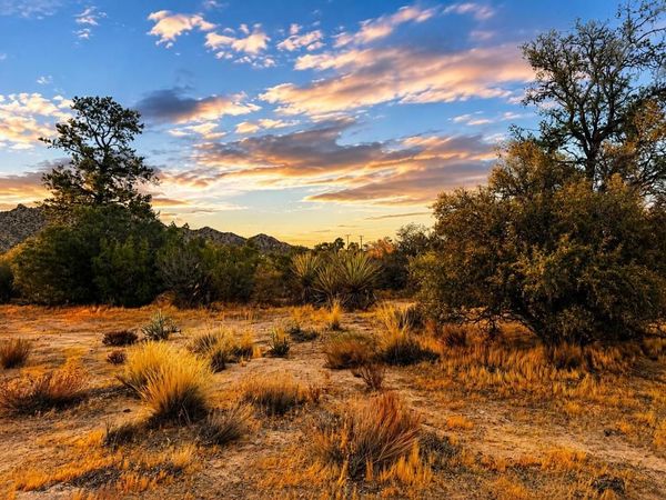 529 Saint Bernard Drive, Mountain Center, CA 92561