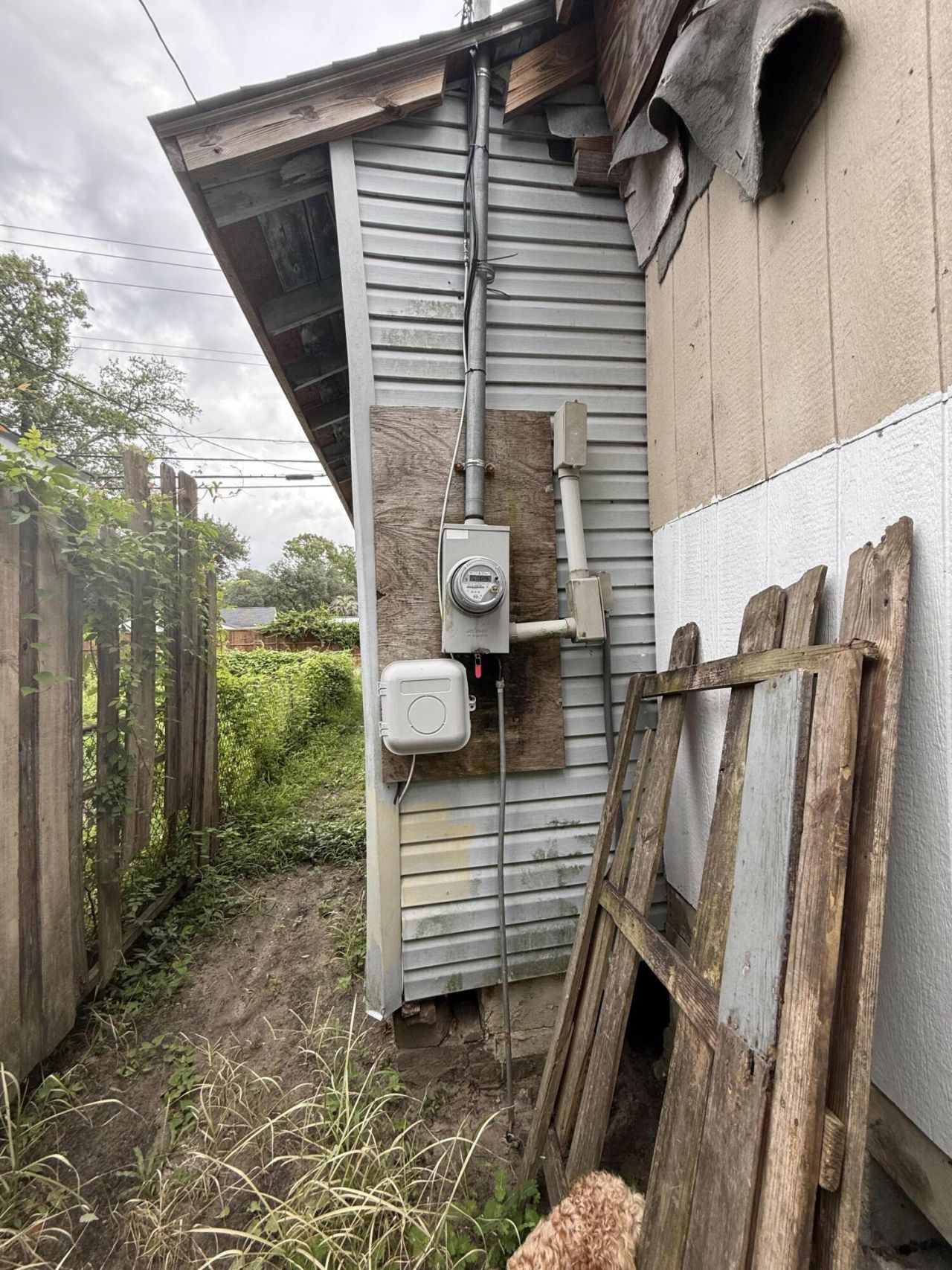 527 Black River Road Photo 11