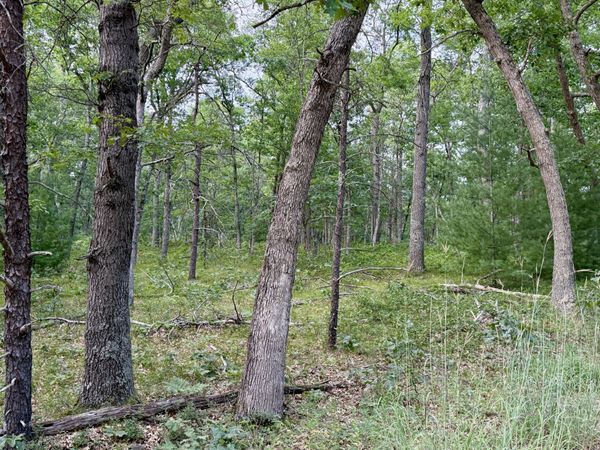 2a Steinberg Road, Manistee, MI 49660