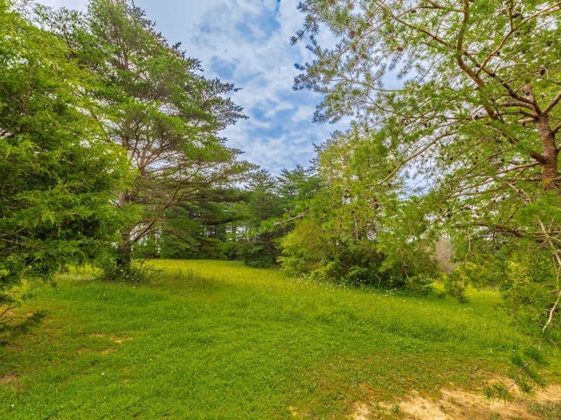 554 Bacon Flat Road, Peebles, OH 45660 Photo 25