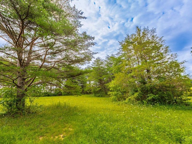 554 Bacon Flat Road, Peebles, OH 45660 Photo 26