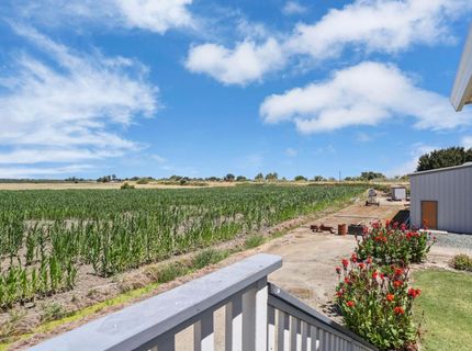 15370-15400 Andrus Island Rd, Isleton, CA 95641 Photo