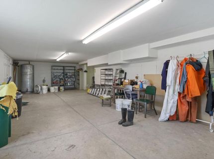 15370-15400 Andrus Island Rd, Isleton, CA 95641 Photo