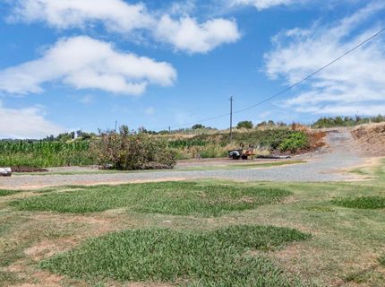15370-15400 Andrus Island Rd, Isleton, CA 95641 Photo
