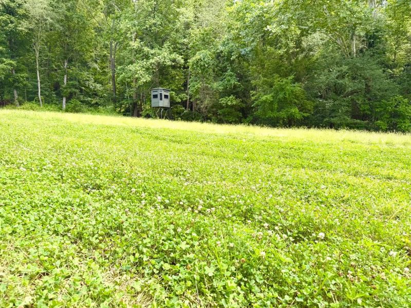 13568 St Rt 73, Franklin Twp, OH 45660 Photo 12