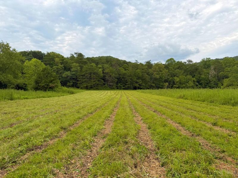 13568 St Rt 73, Franklin Twp, OH 45660 Photo 17