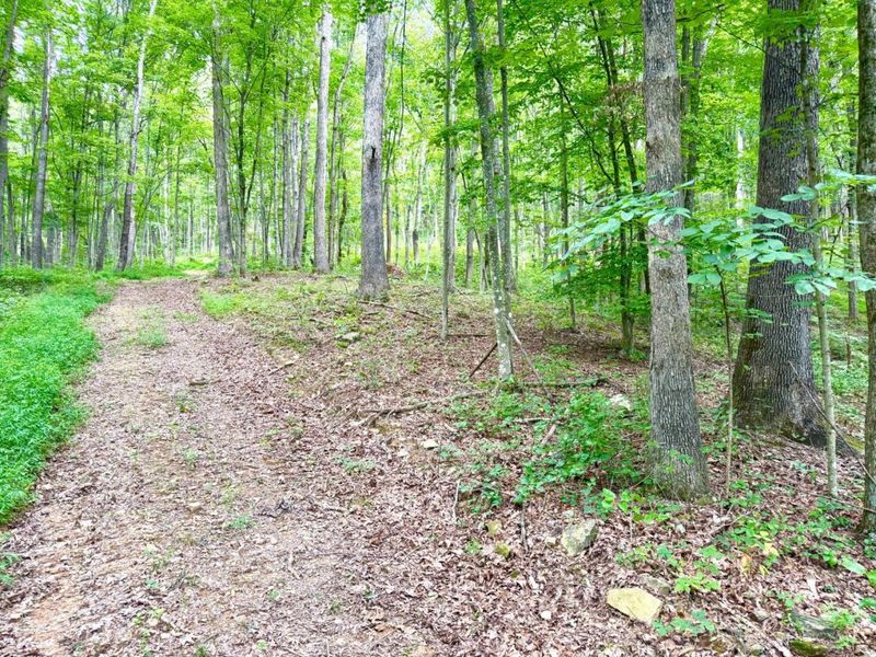 13568 St Rt 73, Franklin Twp, OH 45660 Photo 22