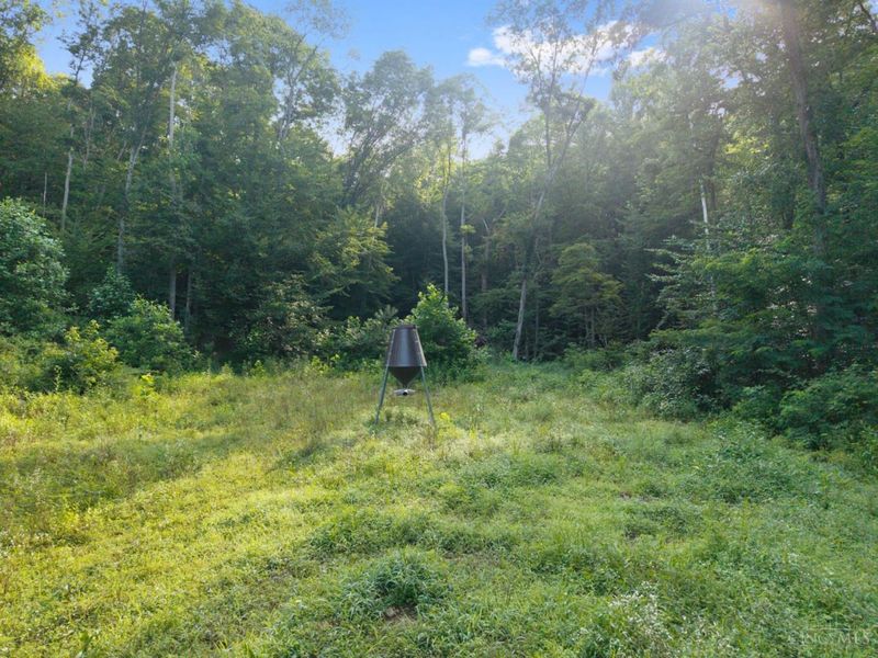 13568 St Rt 73, Franklin Twp, OH 45660 Photo 28