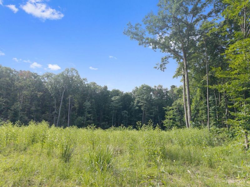 13568 St Rt 73, Franklin Twp, OH 45660 Photo 30