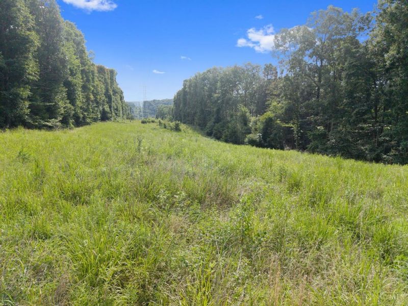 13568 St Rt 73, Franklin Twp, OH 45660 Photo 31