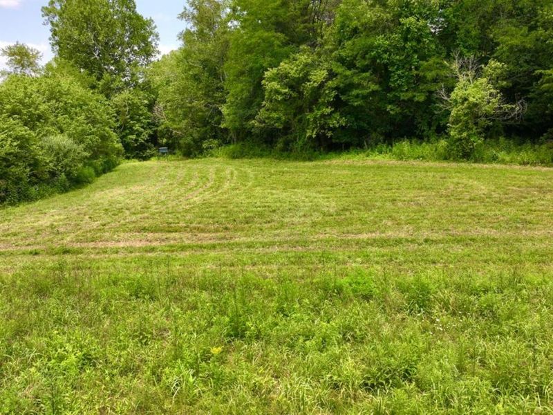 13568 St Rt 73, Franklin Twp, OH 45660 Photo 6