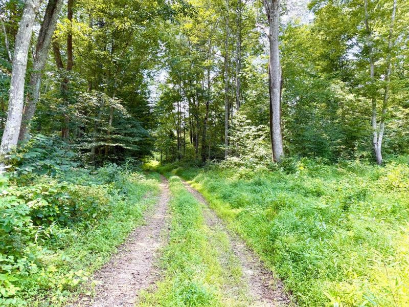 13568 St Rt 73, Franklin Twp, OH 45660 Photo 80