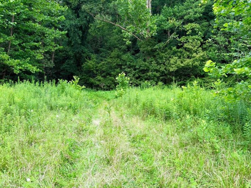 13568 St Rt 73, Franklin Twp, OH 45660 Photo 86