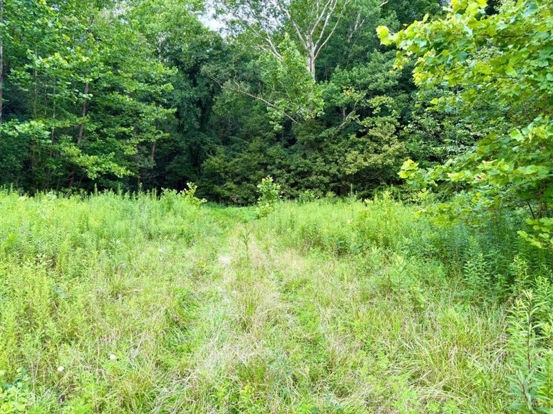 13568 St Rt 73, Franklin Twp, OH 45660 Photo 87