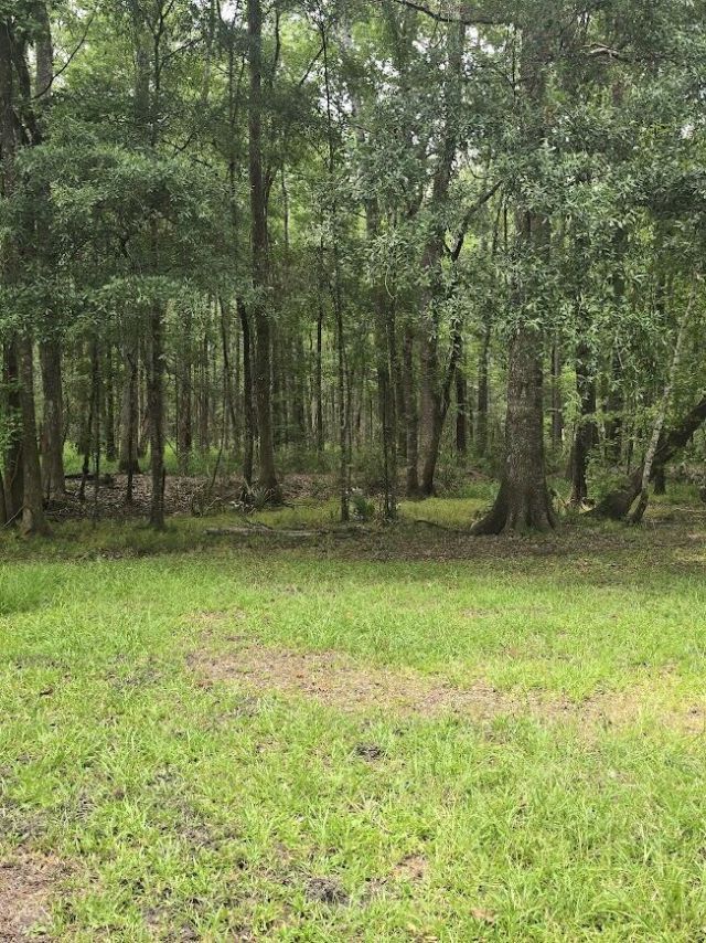 6210 Smoak Retreat Road Photo 12