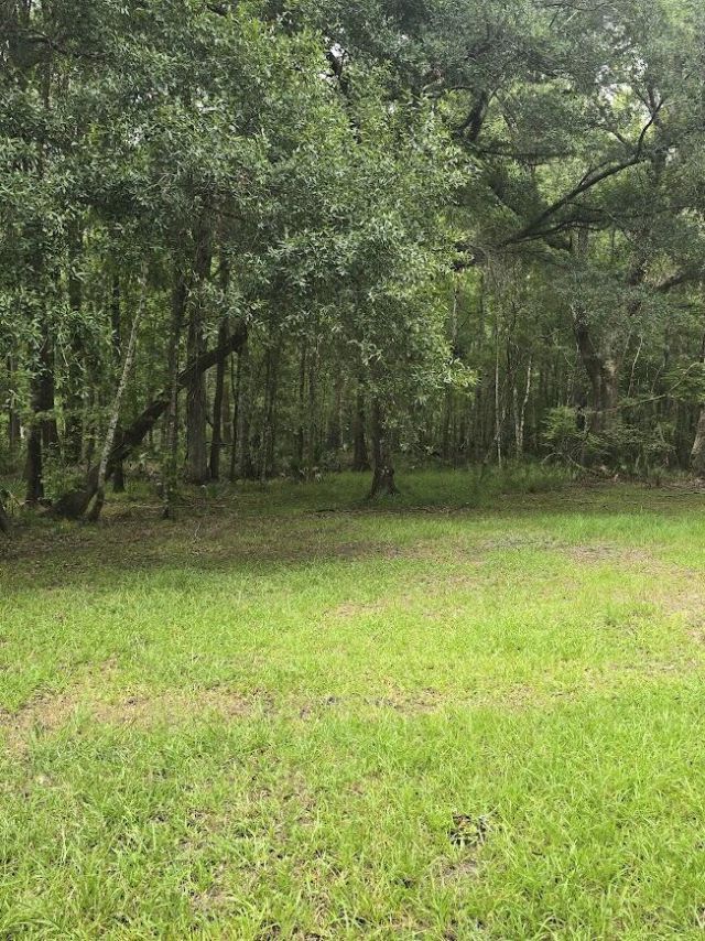 6210 Smoak Retreat Road Photo 13