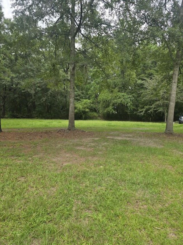 6210 Smoak Retreat Road Photo 14