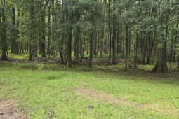 6210 Smoak Retreat Road photo 4