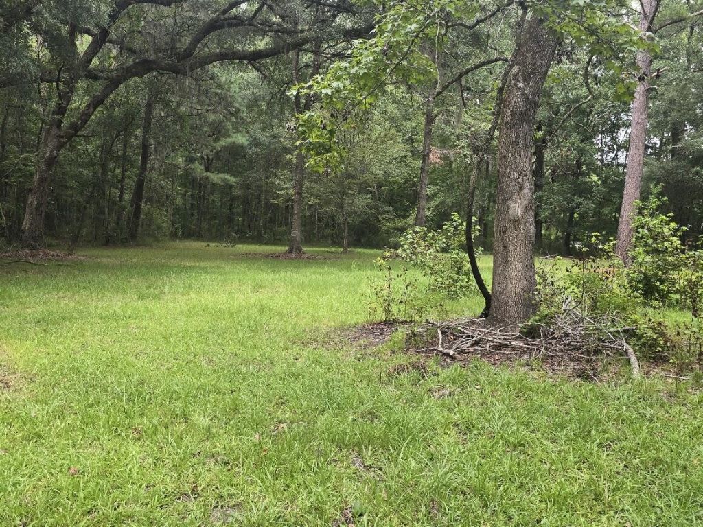 6210 Smoak Retreat Road Photo 4