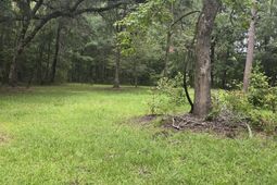 6210 Smoak Retreat Road photo 4