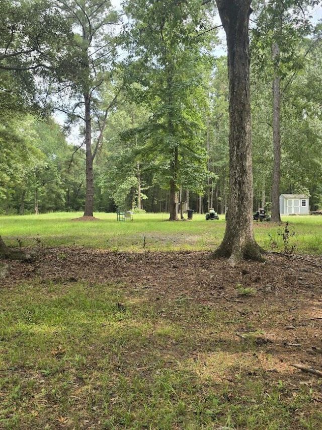 6210 Smoak Retreat Road Photo 8