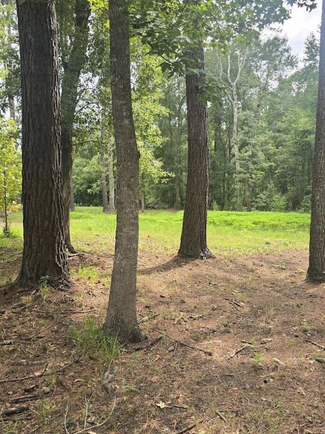 6210 Smoak Retreat Road Photo 9