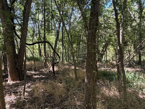 Lot 677 Kaukonahua LN, Bastrop, TX 78602