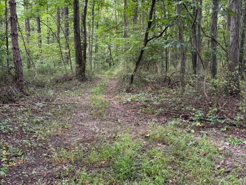 5854 Toll Gate Road NW, Somerset, OH 43783 Photo 8