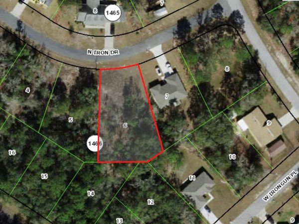 11060 N IRON DRIVE, CITRUS SPRINGS, FL 34434